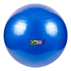 GoFit Stability Ball -Outdoor Sports Store 2310 13859 2500 000 zoom 64