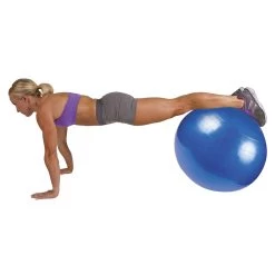 GoFit Stability Ball -Outdoor Sports Store 2310 13859 2500 000 zoom 66