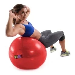GoFit Stability Ball -Outdoor Sports Store 2310 13859 2500 000 zoom 83